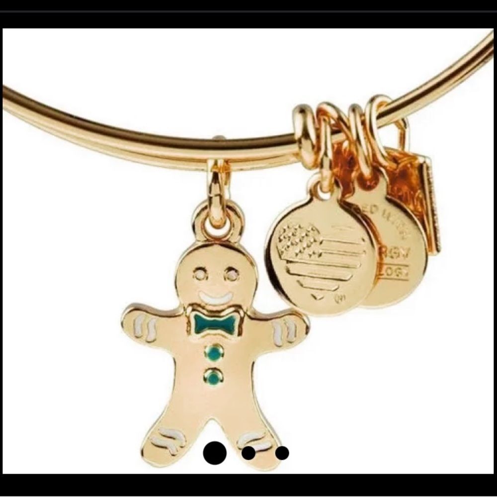 Alex and Ani gingerbread  bracelet NWT
